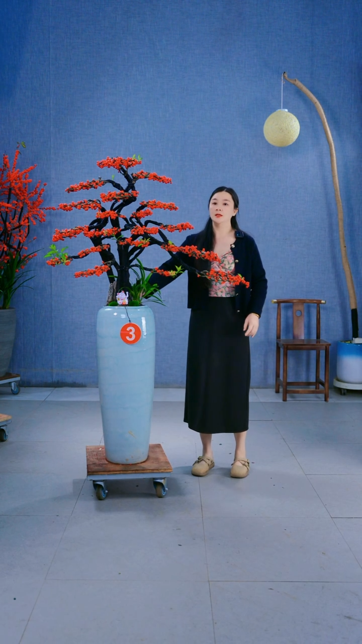 无花朵@**T3号盆链接造型冬青