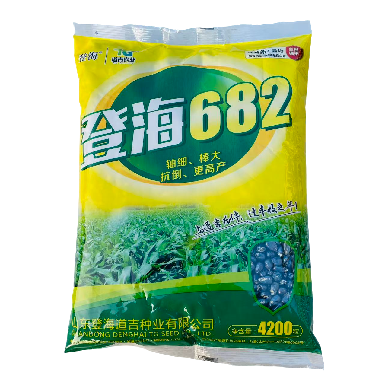 登海682正品红轴大穗高产高抗倒超大穗玉米种子，每袋4200粒