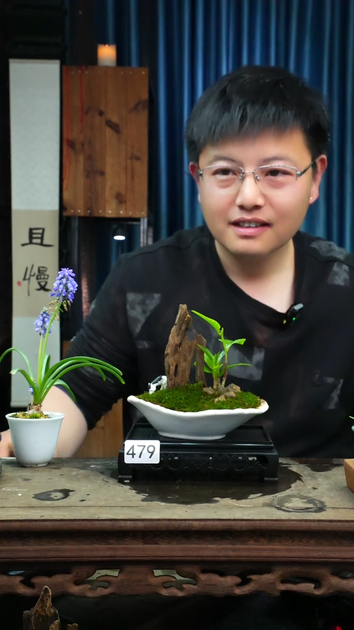 【闪购商品】苔藓微景观479号
