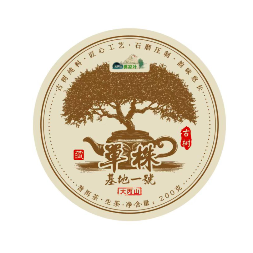 【村长严选1】2024基地一号单株 云南普洱茶 饼茶