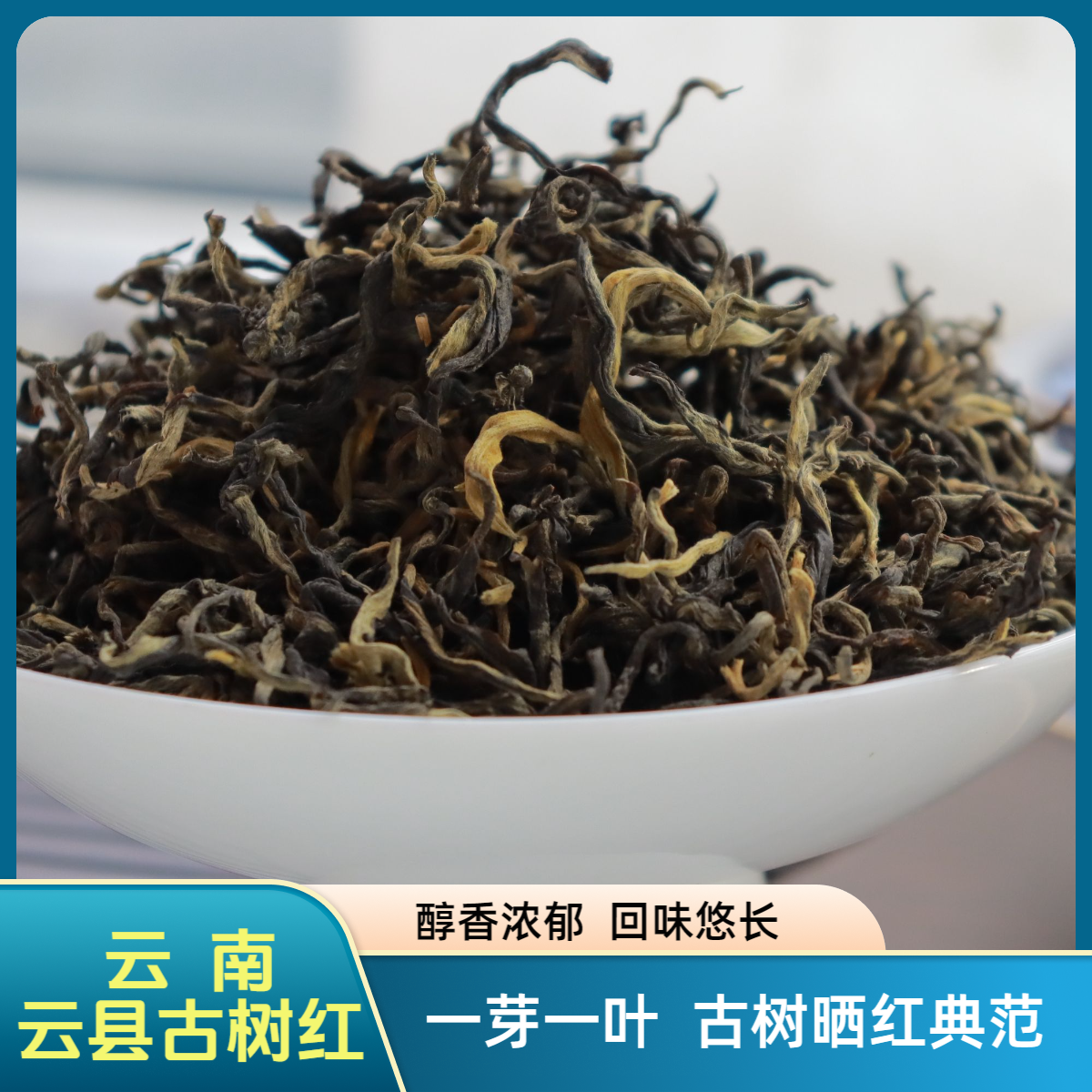 2025年 云南古树晒青红茶-头春头采古树纯料