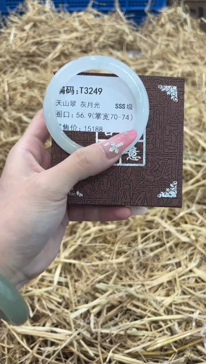 未镶嵌手镯石英质玉T3249