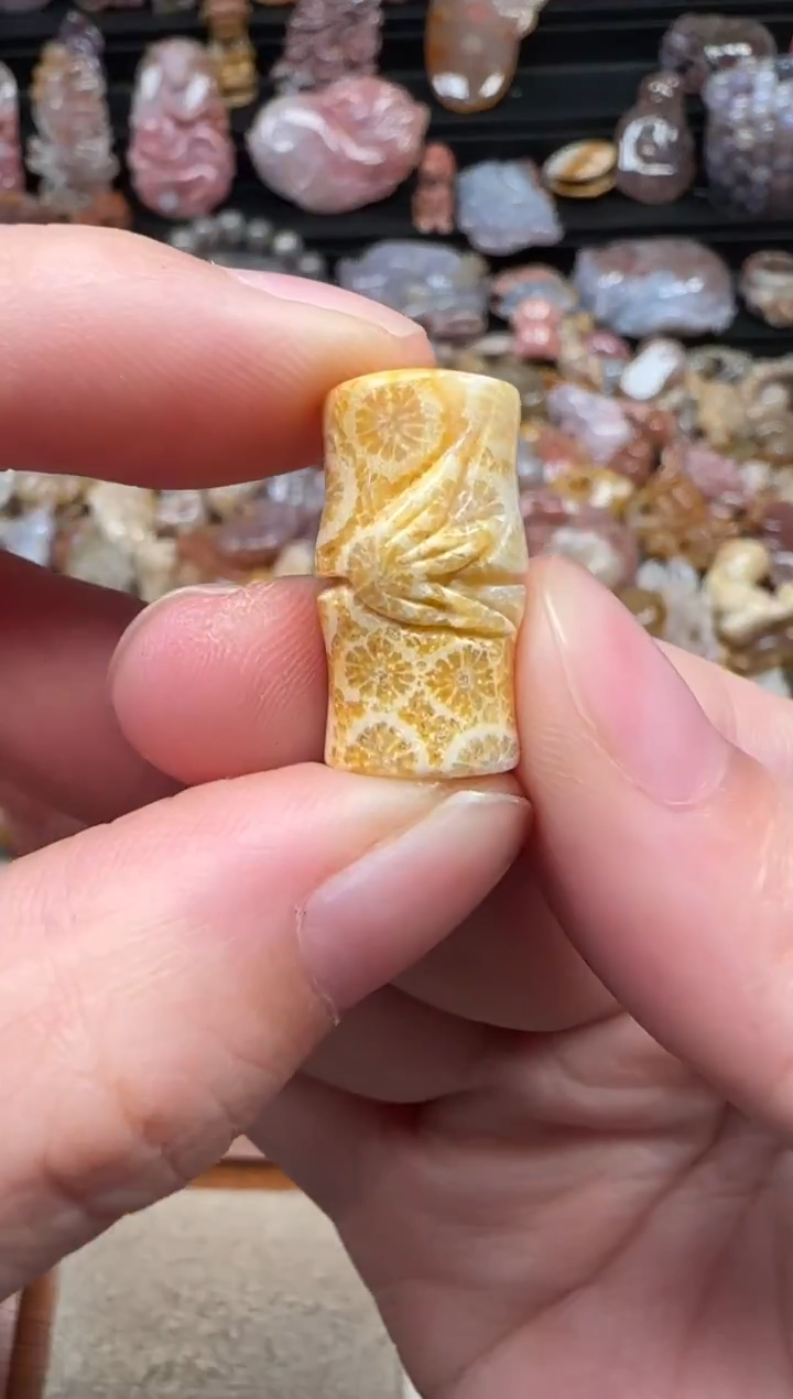 颈饰未镶嵌硅化珊瑚（珊瑚玉）043