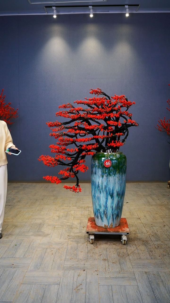 【闪购商品】北美冬青