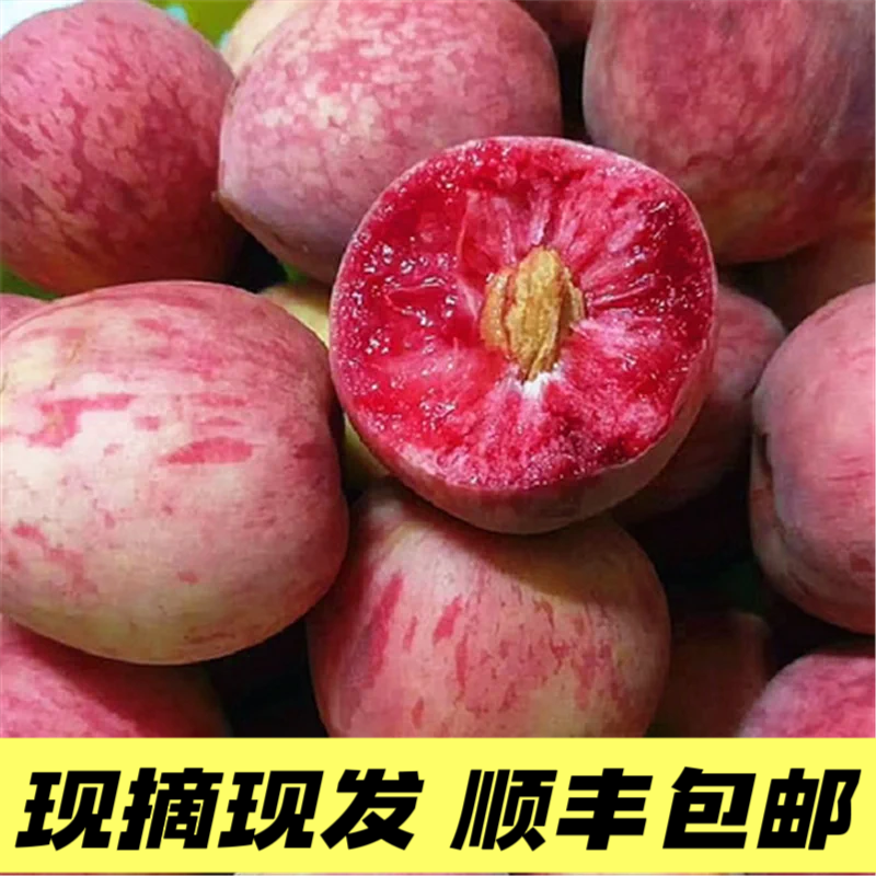 [顺丰包邮]湖北孝感正宗胭脂红血桃应季新鲜水果桃子毛桃