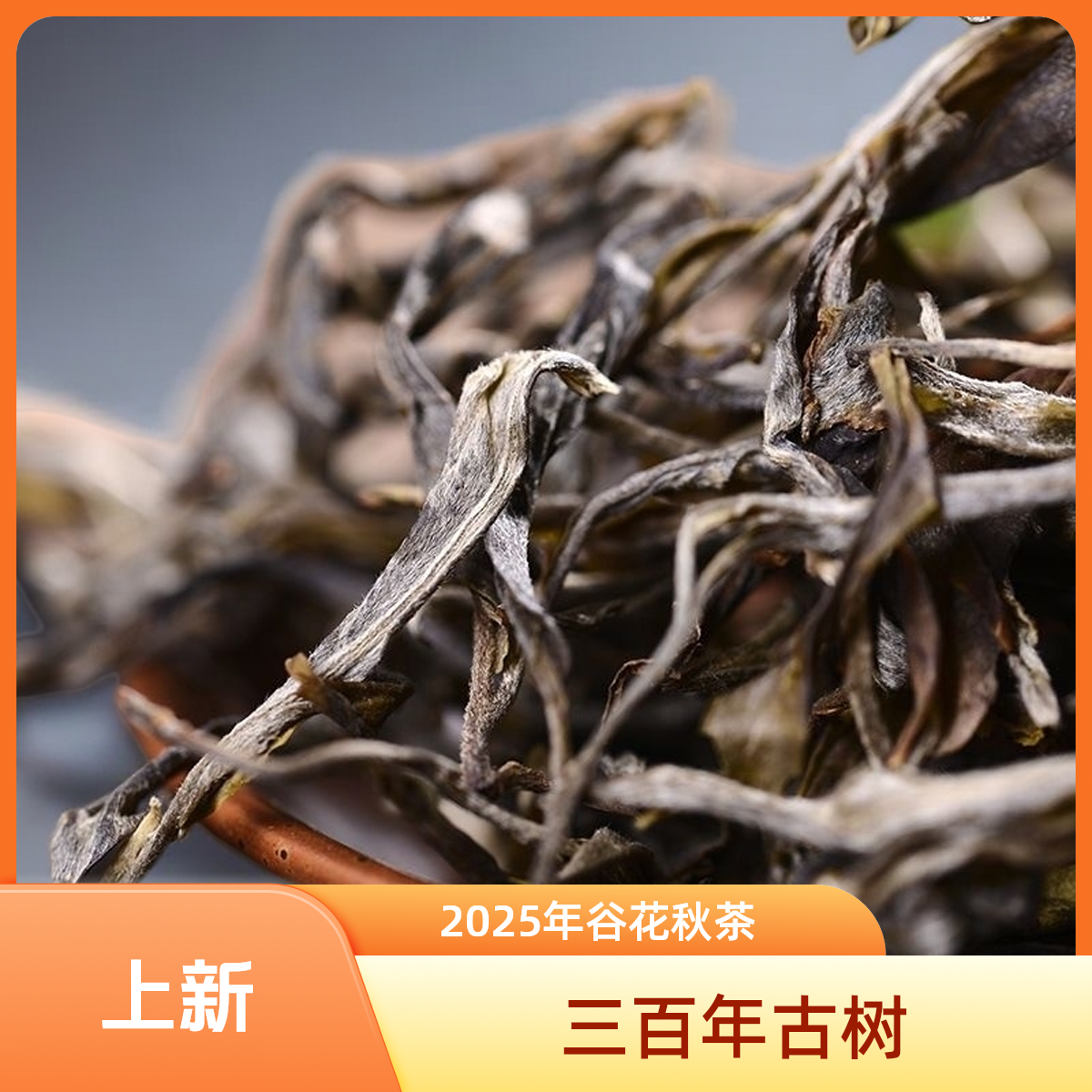 散茶【冰岛老寨69号】2025年 三百年古树秋/100克 /普洱生茶