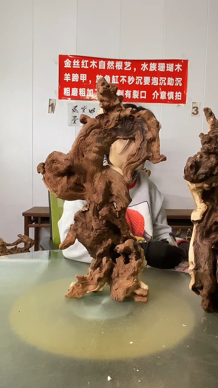 木人****邓金丝红木  羊蹄甲
