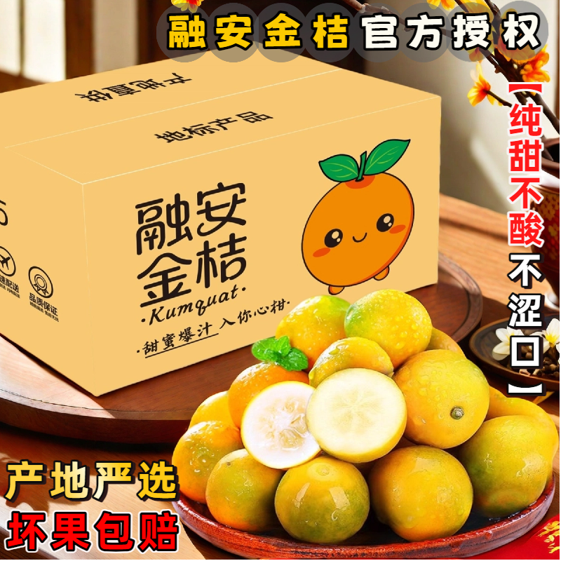 【果园严选】融安脆皮金桔新鲜现摘香甜爆汁融安金桔滑皮金桔