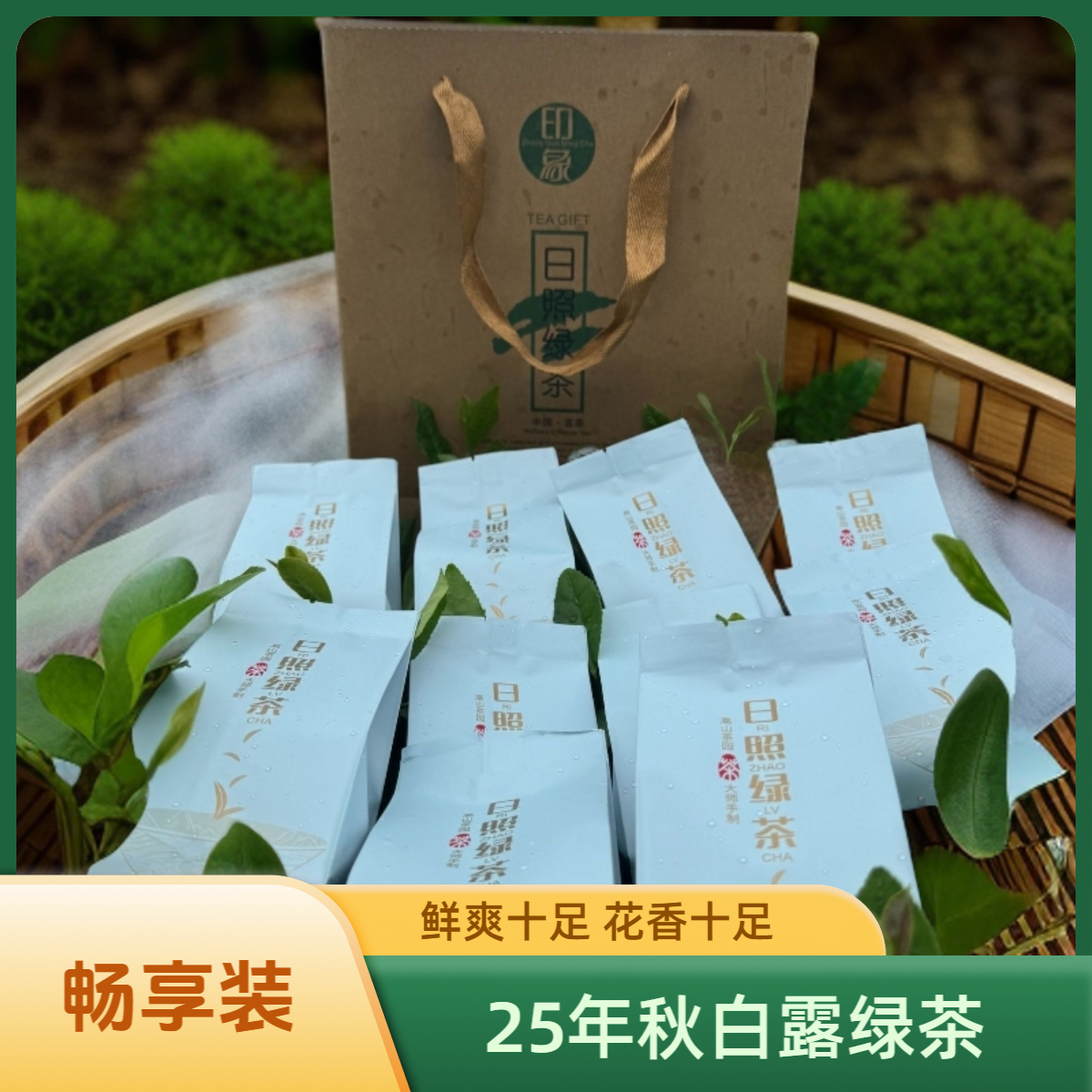 助力日照绿茶销售高品质高香半手工口粮绿茶500g