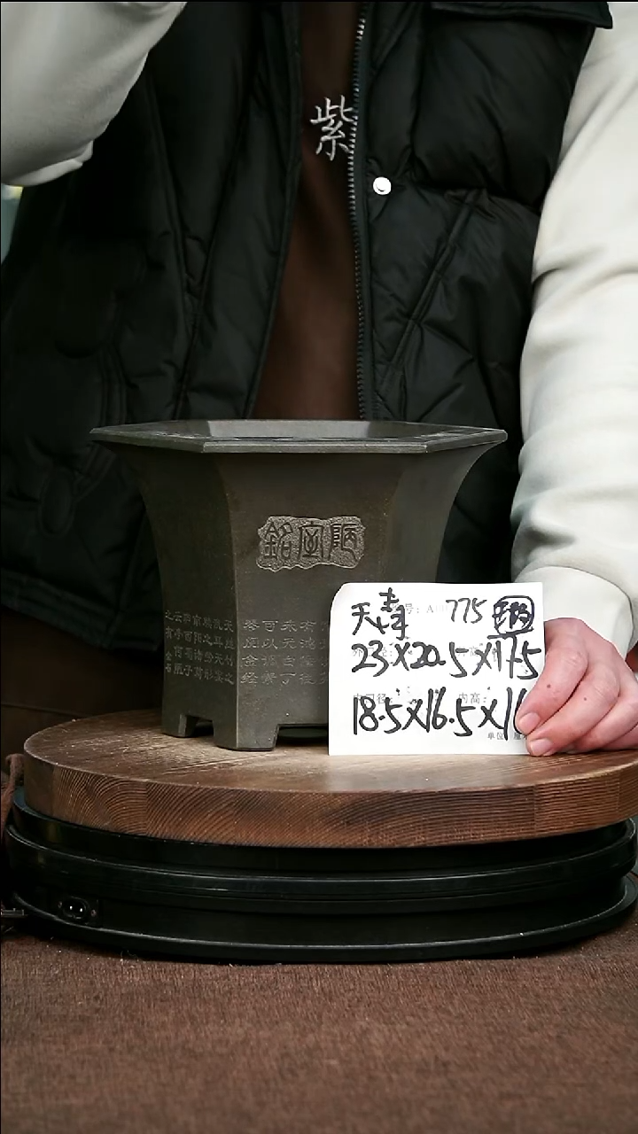 紫砂花盆花卉园艺775