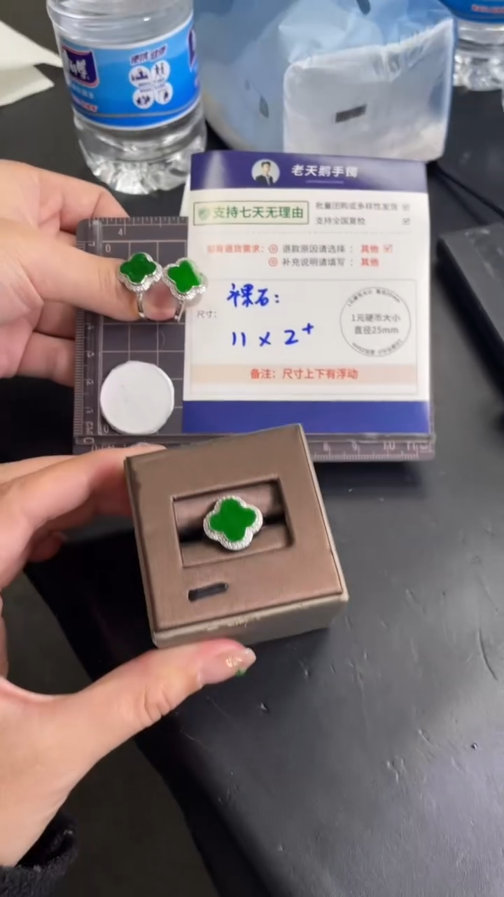 【闪购商品】翡翠颈饰银S925镶嵌翡翠绿戒指19/多样性发其一CP