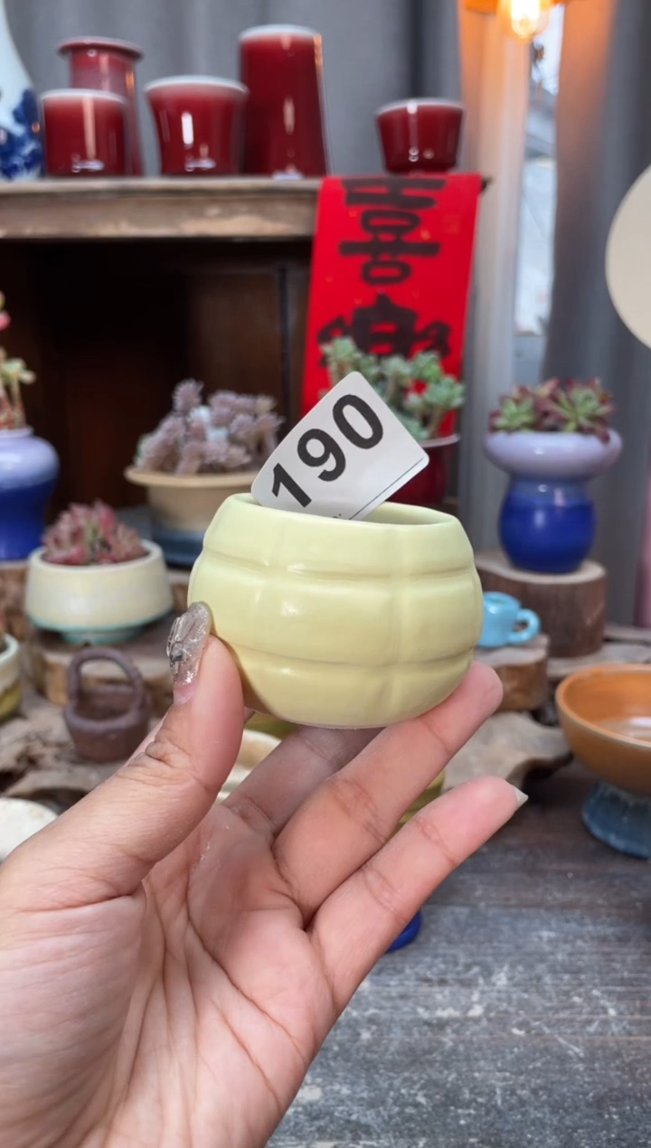 【闪购商品】摆件190知木小芳花盆