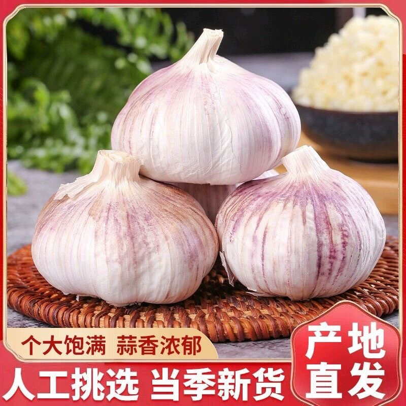 2025年新大蒜干大蒜辛辣提香农家多瓣大蒜
