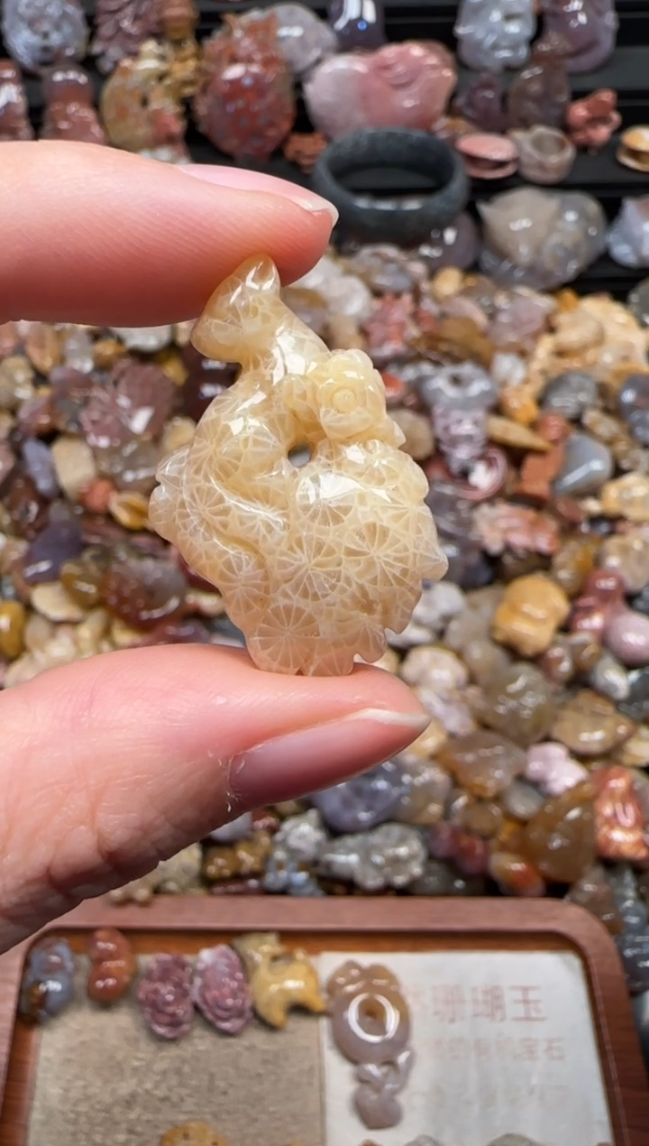 颈饰未镶嵌硅化珊瑚（珊瑚玉）397