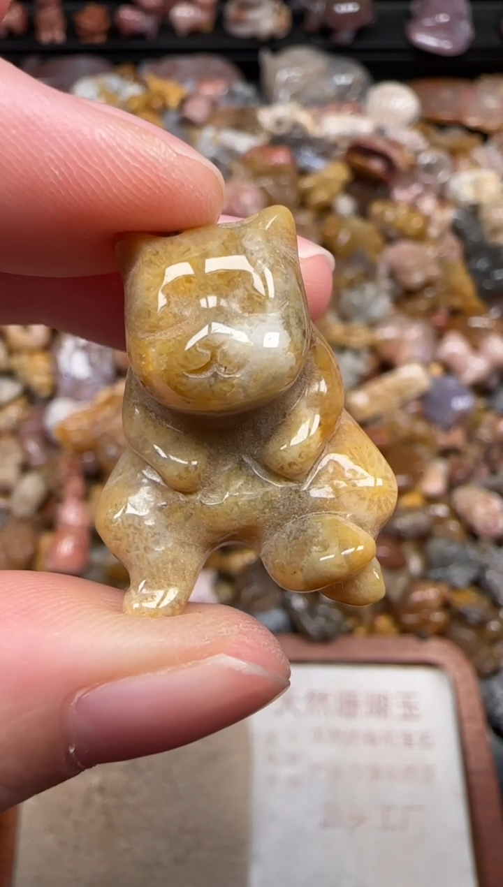 硅化珊瑚（珊瑚玉）未镶嵌颈饰776