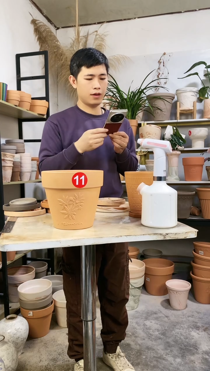 【闪购商品】红陶20*19红陶国际香草 1盆无托