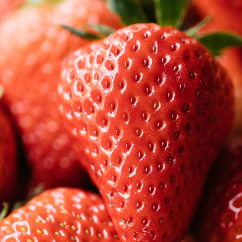 【当季限量】头茬丹东99草莓 香甜爽口 味蕾盛宴 宝宝超爱 包邮