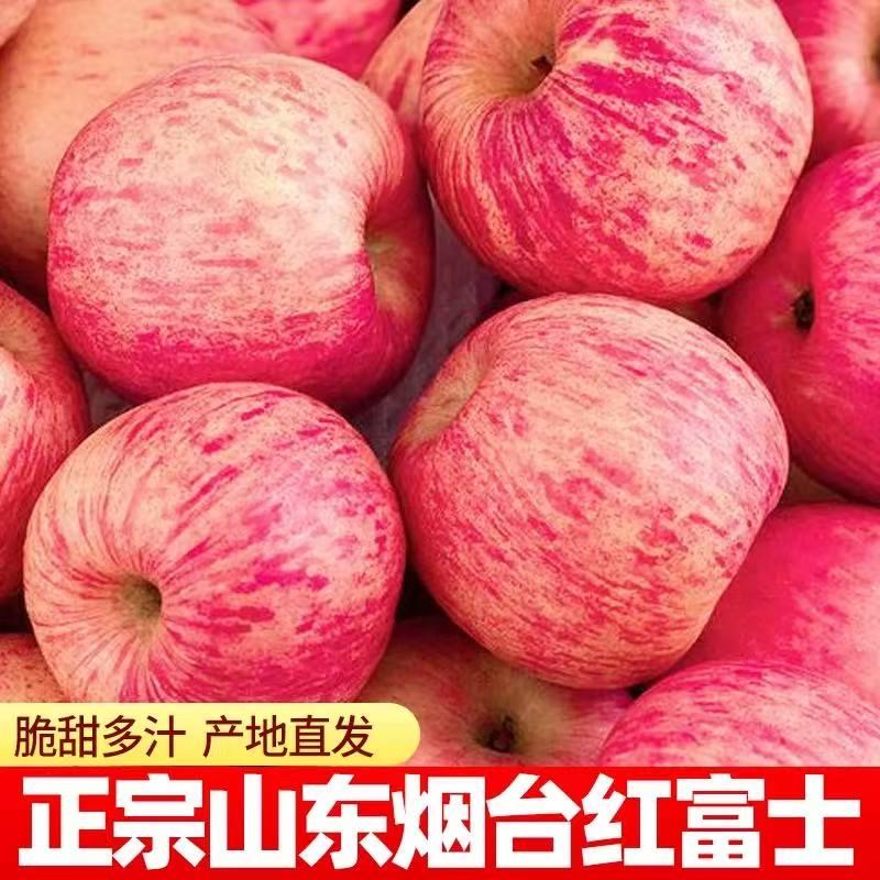 山东烟台红富士苹果脆甜产地直发