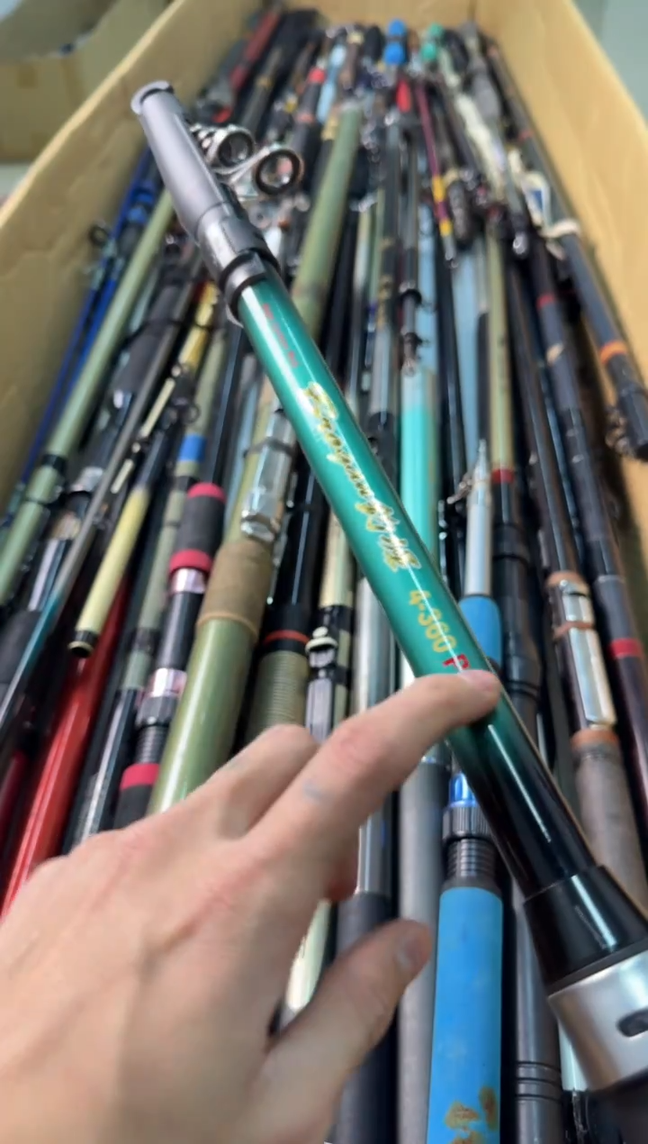 孤***鹰孤品微瑕实物以直播间 为准加10元发顺丰