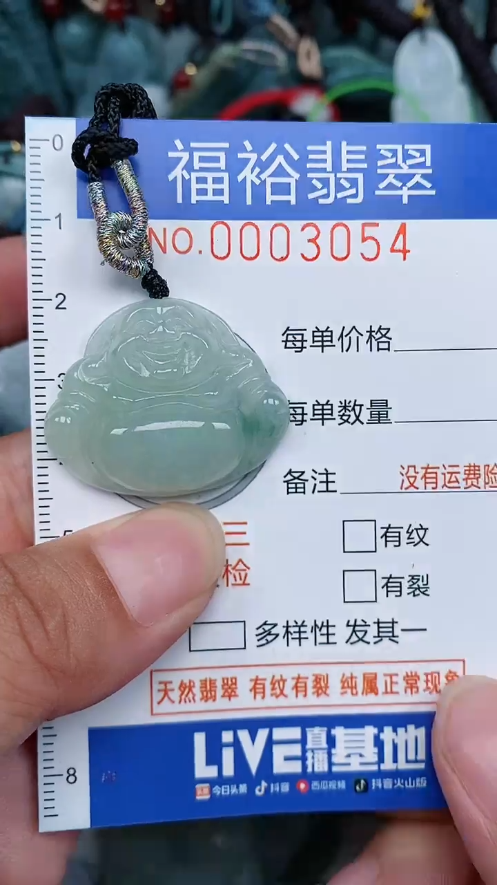 翡翠未镶嵌颈饰...0003054