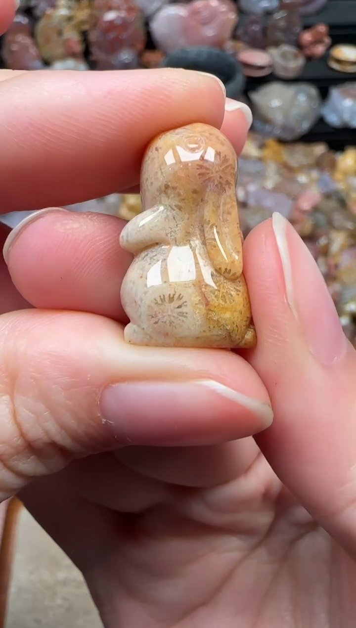 颈饰未镶嵌硅化珊瑚（珊瑚玉）267