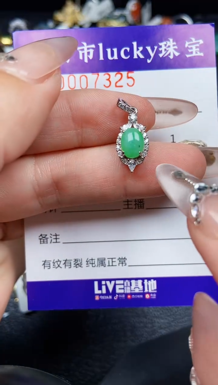 翡翠银S925镶嵌颈饰7325