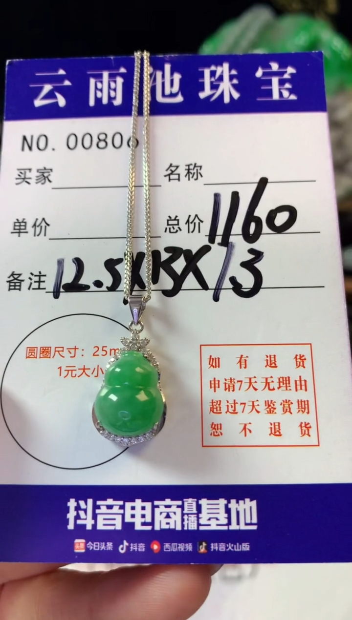 翡翠银S925镶嵌颈饰翡翠