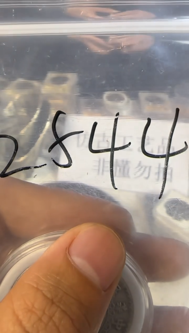 直播间秒拍秒付链接