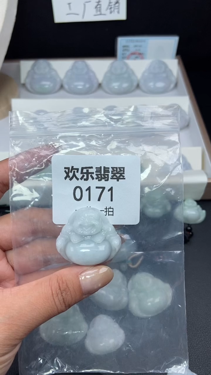 颈饰未镶嵌翡翠缅甸天然翡翠0171