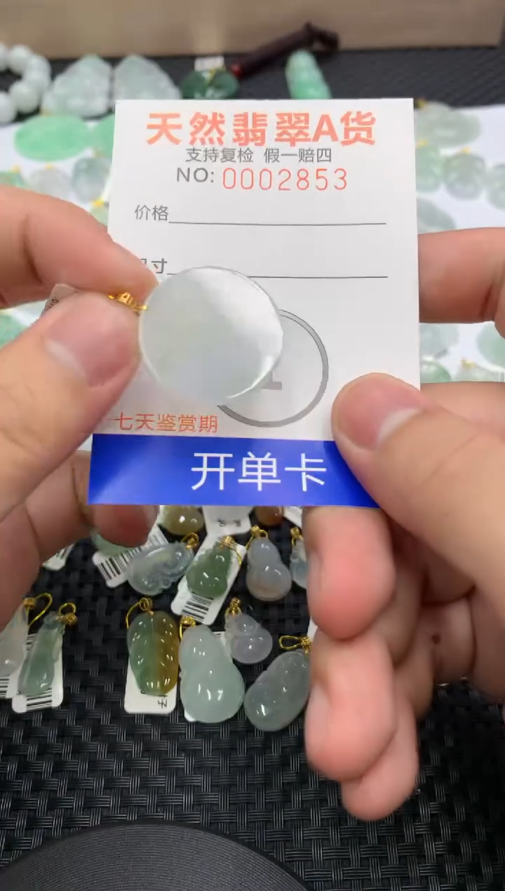 【闪购商品】翡翠颈饰18K金镶嵌11111111111