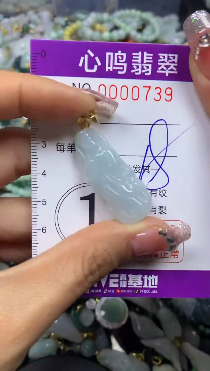 【闪购商品】翡翠颈饰未镶嵌闪购00739
