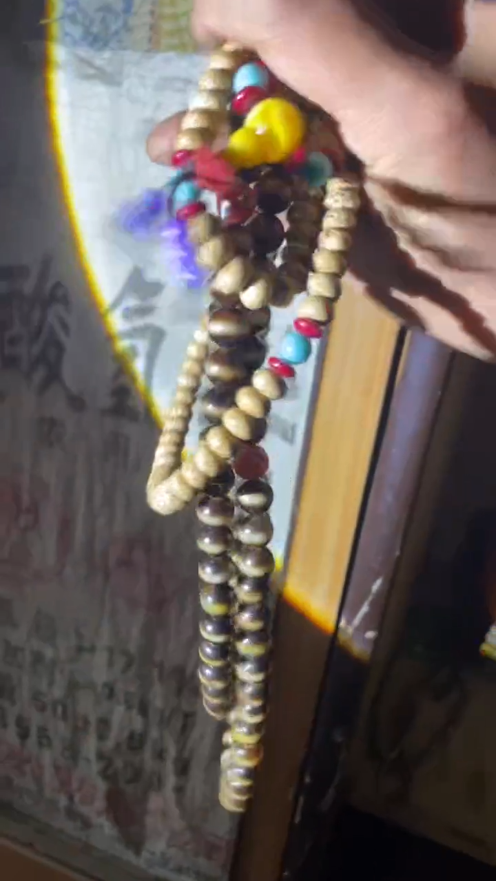 【闪购商品】菩提根/象牙果把件精品好物 好物菩提