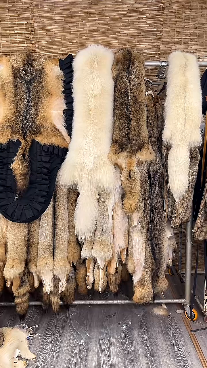 单张皮一物一拍看清楚介绍