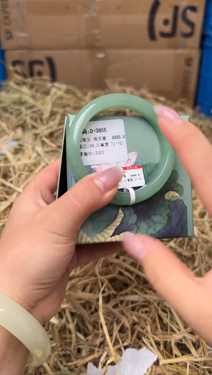 未镶嵌手镯石英质玉D-3855