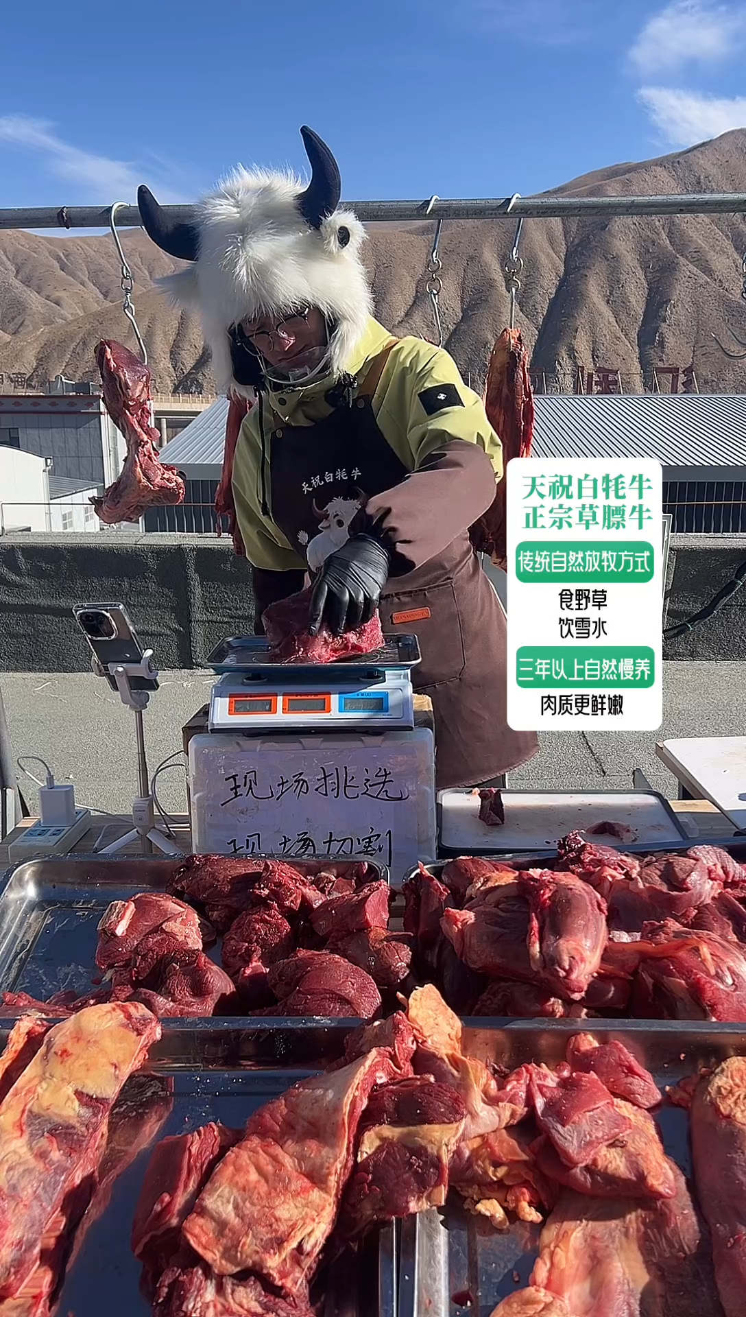 365天中国大陆牛排骨1.9斤