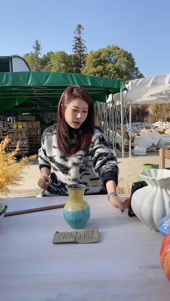 【闪购商品】陶瓷景德镇手工陶瓷