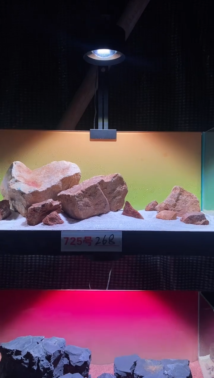 725号鱼缸造景（不含底砂）