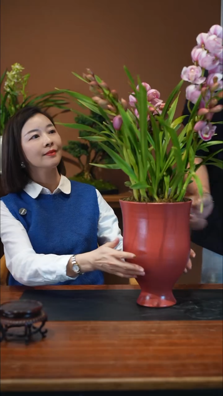 无花朵烛光盆景盆景盆景