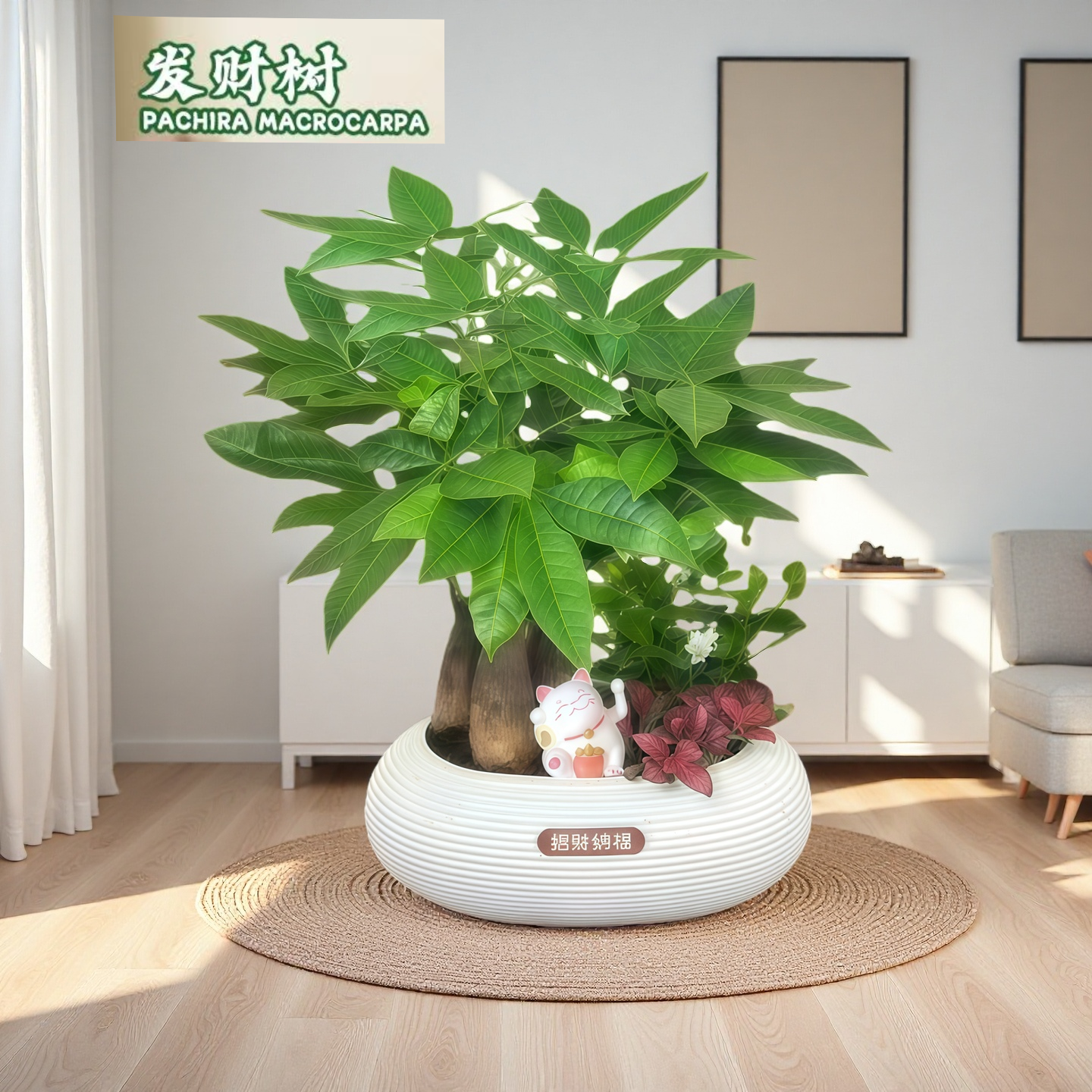 ZY【发财树组合盆栽】绿植九里香（30~40CM）办公桌面盆栽好养常青