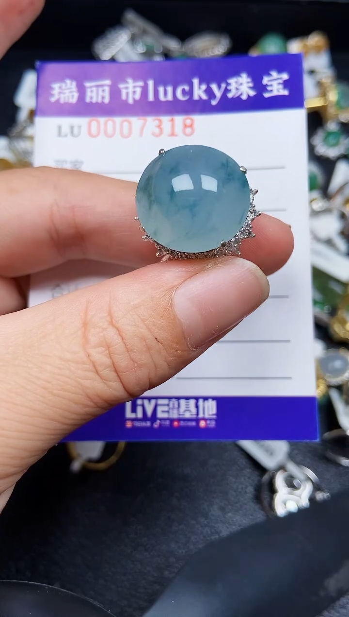 翡翠未镶嵌颈饰7318铜托