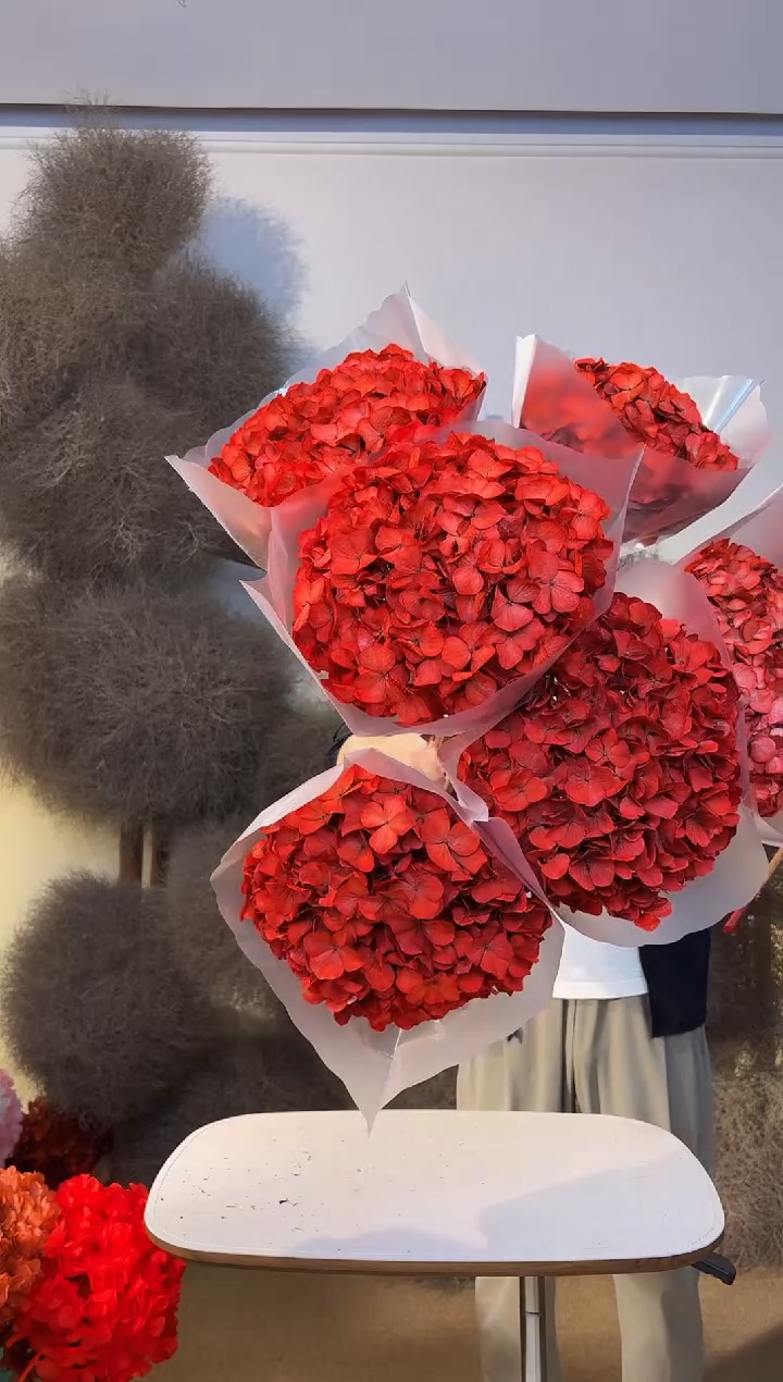 140  山前小麦 · 永生大叶绣球6枝  红色 S＋  