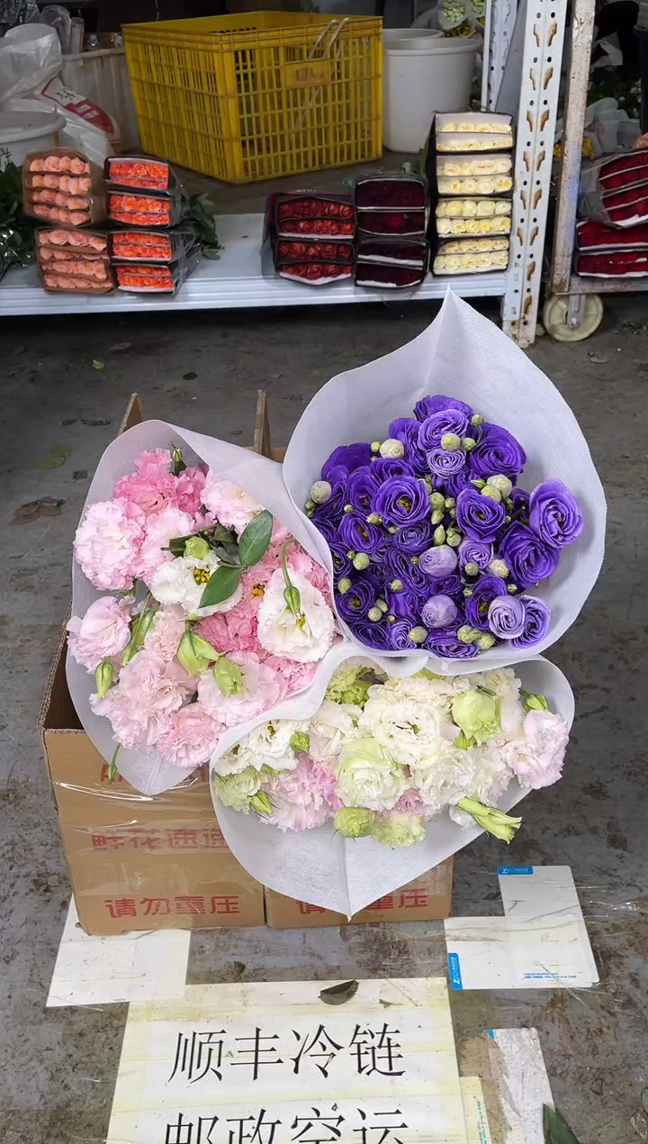 洋桔梗800克3扎（冰淇淋800克+深紫800克+阳光粉800克）