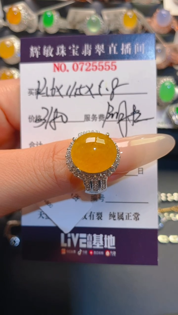 翡翠未镶嵌耳饰天然