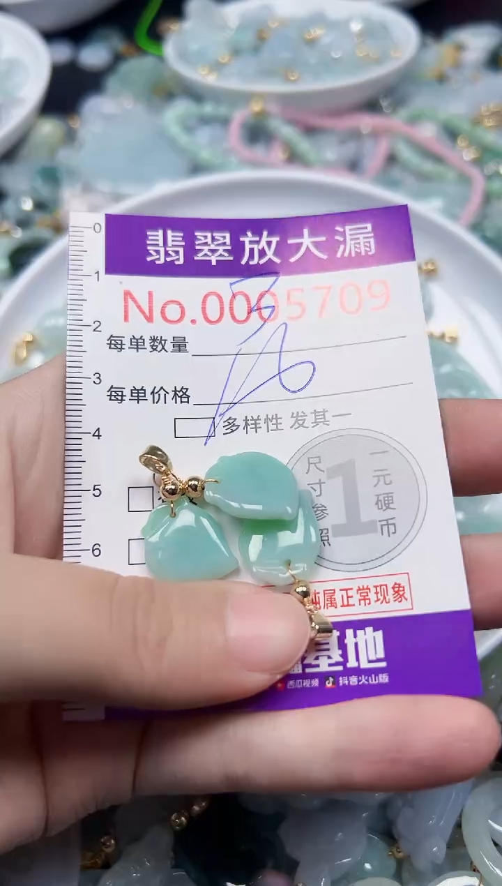 颈饰未镶嵌翡翠5709
