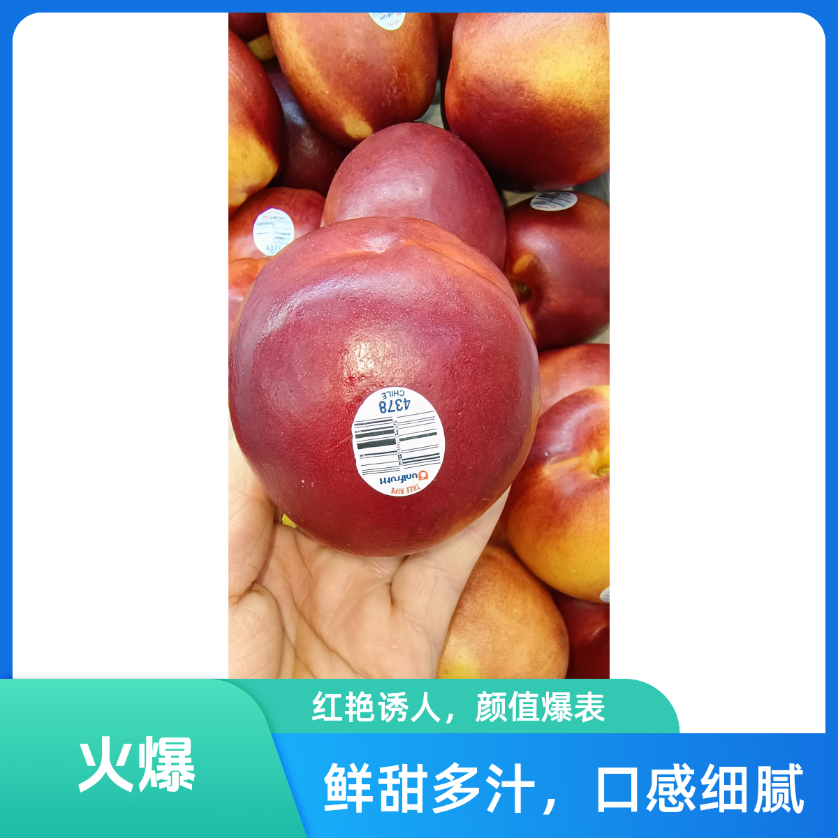 澳洲黄肉油桃脆甜爽口桃香四溢 约500g