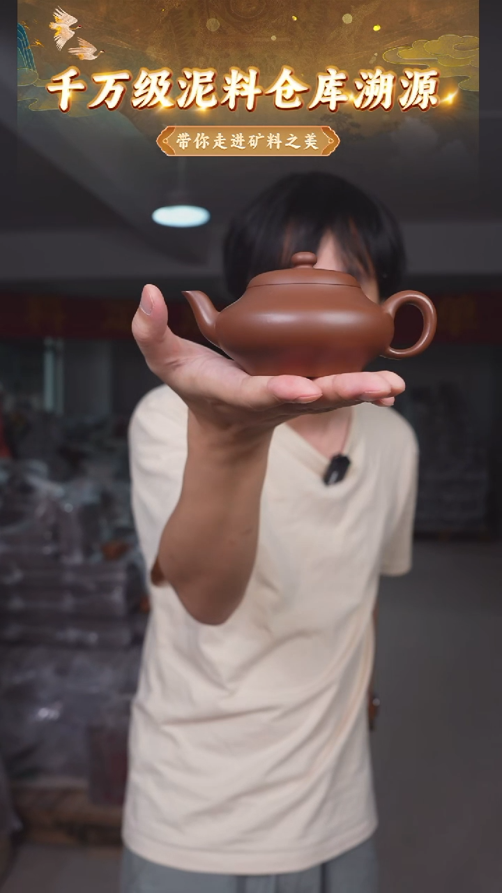 茶壶紫砂19 宜兴紫砂茶壶