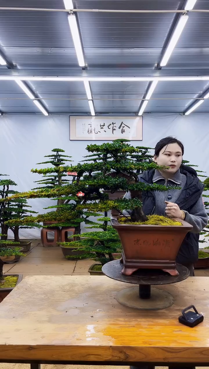 无花朵一物一拍，所见即所得