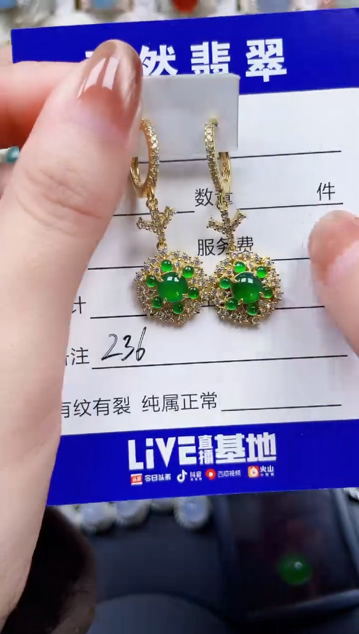 银S925镶嵌翡翠耳饰236