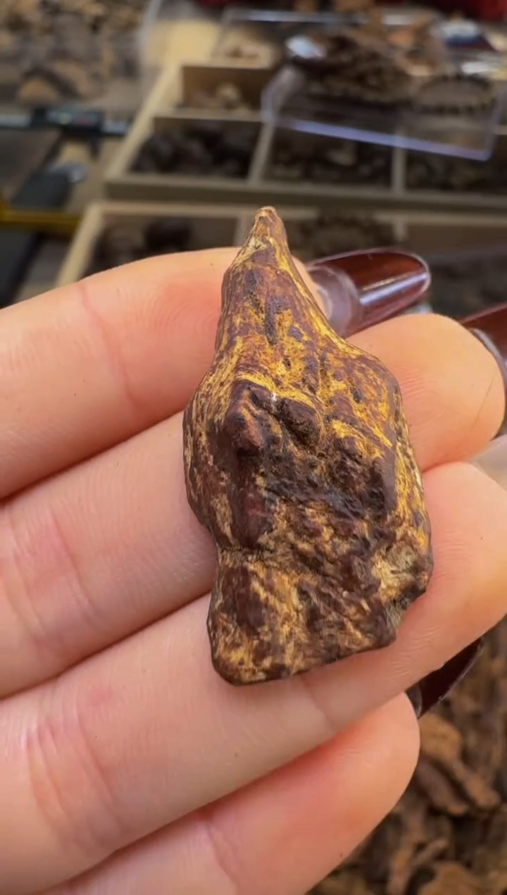 【闪购商品】沉香吊坠越南惠安红土