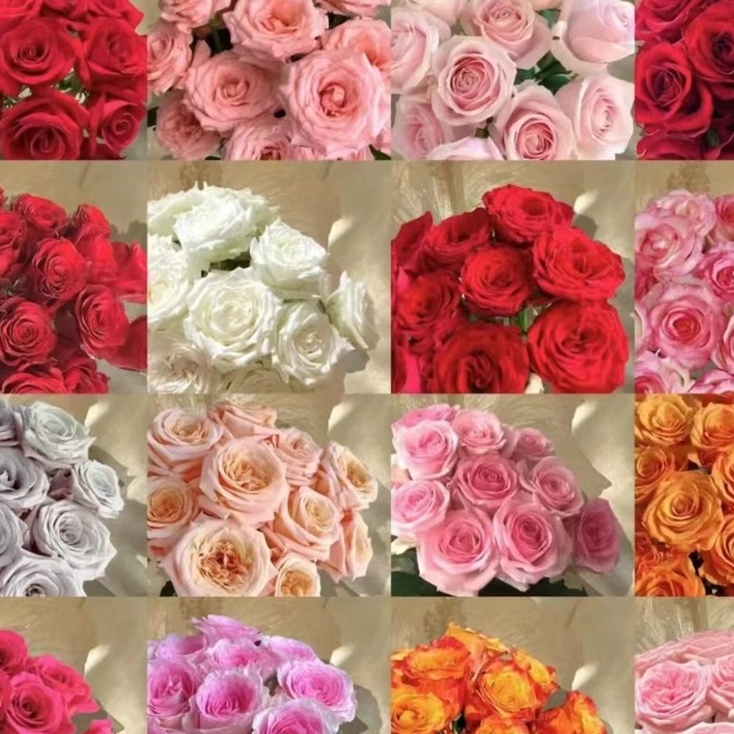 【任意色基地玫瑰10枝+配花1把】|云南鲜花基地直发家庭养花插花